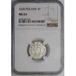 Sigismund III Vasa, Half-track 1620, Bydgoszcz - Sas in oval shield, 2-0 - beautiful