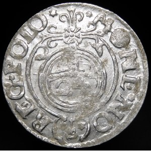 Sigismund III Vasa, Half-track 1621, Bydgoszcz - Saxon in oval shield