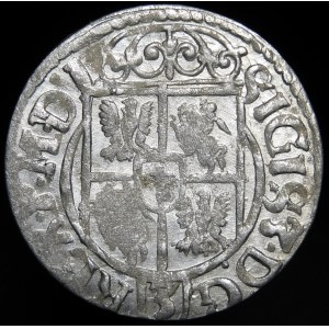 Sigismund III Vasa, Half-track 1621, Bydgoszcz - Saxon in oval shield