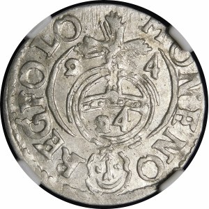 Sigismund III Vasa, Half-track 1624, Bydgoszcz - Saxon in decorative shield