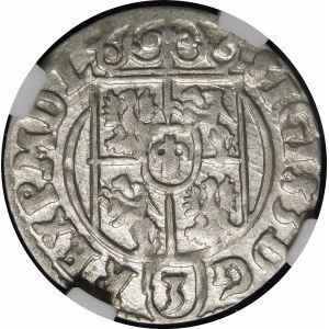 Sigismund III Vasa, Half-track 1624, Bydgoszcz - Saxon in decorative shield