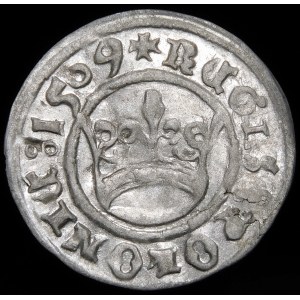 Sigismund I the Old, Half-penny 1509, Cracow - fancy destruct - beautiful