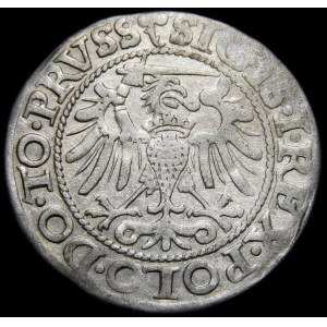 Sigismund I the Old, Penny 1540, Elbląg