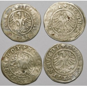 Sigismund I the Old, Cracow half-penny - set (pcs. 4)