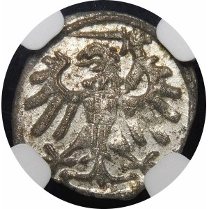 Sigismund I the Old, Denarius without date, Gdansk - M-S - beautiful