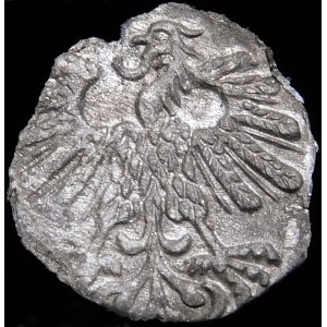Sigismund II Augustus, Denarius 1559, Vilnius