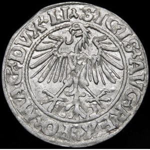 Sigismund II Augustus, Half-penny 1549, Vilnius - 9 Pogon, LI/LITVA - beautiful