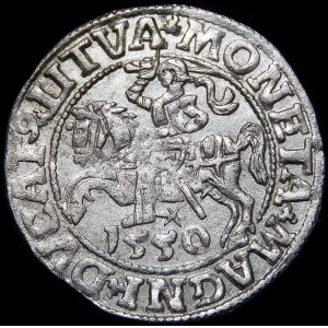 Zygmunt II August, Półgrosz 1550, Wilno - LI/LITVA