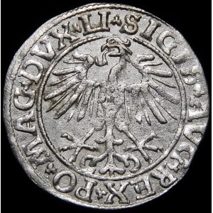 Zygmunt II August, Półgrosz 1550, Wilno - LI/LITVA