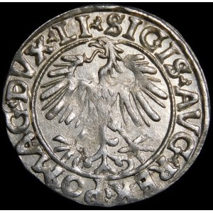 Zikmund II August, půlpenny 1556, Vilnius - LI/LITVA