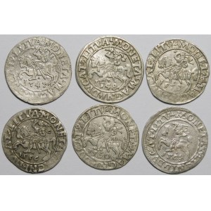 Zygmunt II August, Półgrosz Wilno 1548-1561 - zestaw (szt. 6)