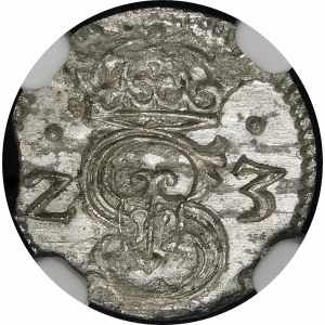 Zygmunt III Waza, Denar 1623, Łobżenica - piękny