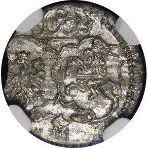 Zygmunt III Waza, Denar 1623, Łobżenica - piękny