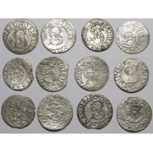Sigismund III Vasa, the Riga Shelf - set (pcs. 12)