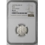 Sigismund III Vasa, Half-track 1620, Riga - Keys divide the inscription - beautiful