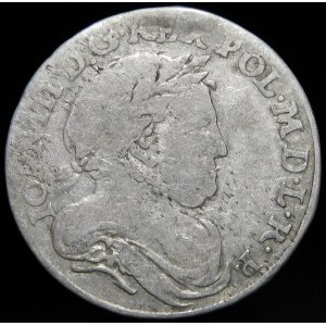Jan III Sobieski, Szóstak 1678, Bydgoszcz - Leliwa w tarczy łukowatej - rzadki