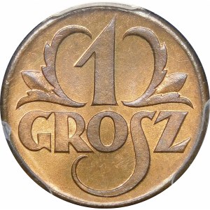 1 haléř 1923