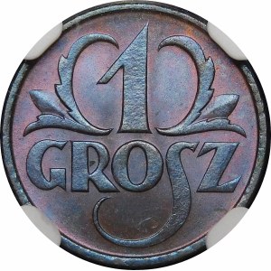 1 grosz 1925