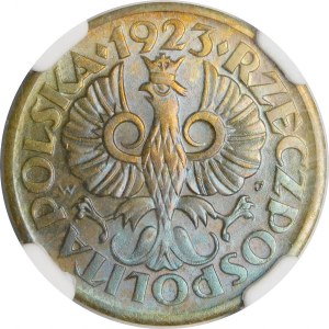 5 pennies 1923