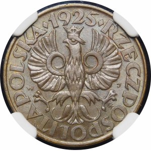 5 pennies 1925