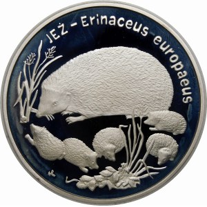 20 zloty 1996 Hedgehogs