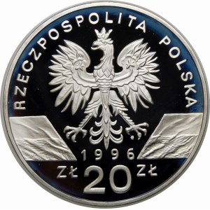 20 zloty 1996 Hedgehogs