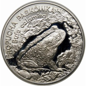 20 Gold 1998 Gestreifte Kröte