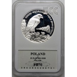 20 Gold 2008 Peregrine.