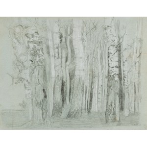 EMILIE MEDIZ-PELIKAN (Vöcklabruck 1861 - 1908 Dresden), Birch Forrest