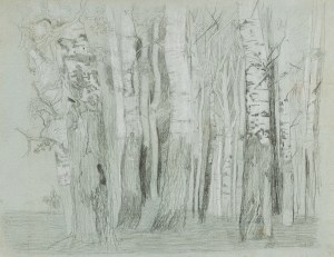 EMILIE MEDIZ-PELIKAN (Vöcklabruck 1861 - 1908 Dresden), Birch Forrest