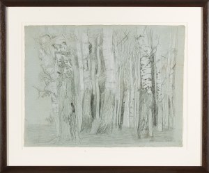 EMILIE MEDIZ-PELIKAN (Vöcklabruck 1861 - 1908 Dresden), Birch Forrest