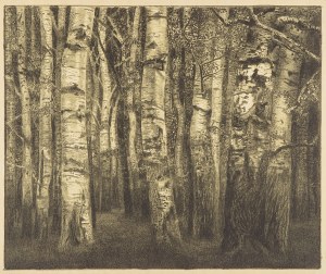 EMILIE MEDIZ-PELIKAN (Vöcklabruck 1861 - 1908 Dresden), Birch Forrest