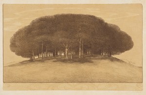 EMILIE MEDIZ-PELIKAN (Vöcklabruck 1861 - 1908 Dresden), Bohemian Pine Grove, 1905