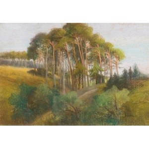 HERMINE VON JANDA (Klosterbruck, Znaim 1854 - 1925 Klosterbruck Znaim), Pine tree hills