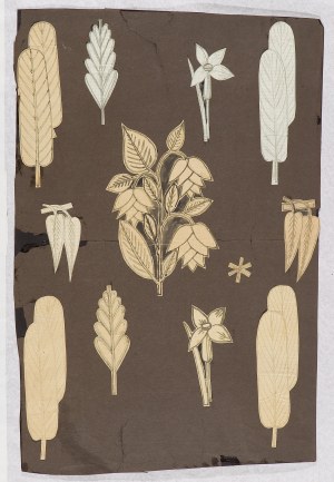 JOSEF HOFFMANN (Pirnitz 1870 - 1956 Vienna), Design Leaves and Flowers