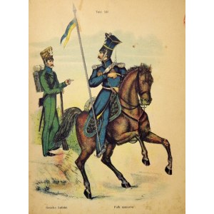 [WOJSKO polskie z roku 1830/31] Strzelec kaliski. Pułk mazurów - tablica barwna form....