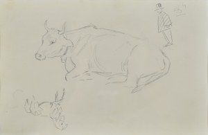 Karol KOSSAK (1896-1975), Szkice leżącej krowy, konia, rysunek satyryczny mężczyzny w cylindrze, 1922