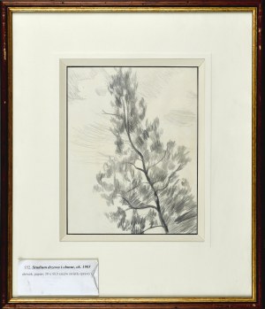 Stanisław KAMOCKI (1875-1944), Studium drzewa i chmur, ok. 1905