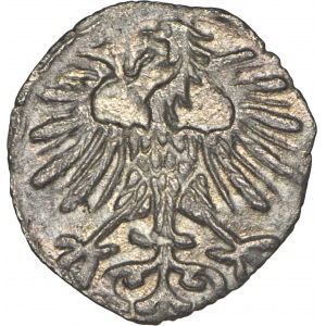 Denar litewski 1556 Wilno