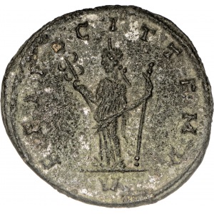 Antoninian Tacyt