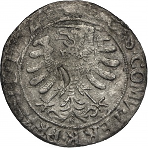 Grosz pruski Toruń 1528