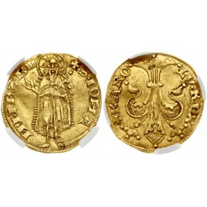 Hungary 1 Goldgulden (1325-1342) Charles Robert (1308-1342). Obverse: Lillies of Florence...