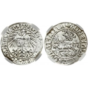 Lithuania 1/2 Grosz 1548 Vilnius. Sigismund II Augustus (1545-1572). Obverse: Eagle. Lettering...