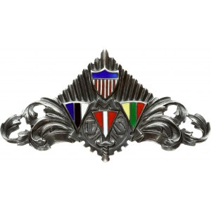 Lithuania Badge (1947) US Military Labor Service (MLS); the badge is issued in 1947 in Germany; in American zone...