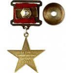 Russia USSR Gold Medal 'Hammer and Sickle'(20th Century). The Hammer and Sickle gold medal is a five...