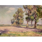 Theodore Ziomek, Landscape