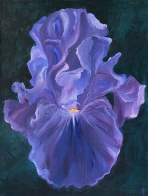 Natalia Dziedzic, Blue Iris