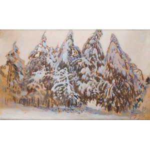 Julian Fałat (1853 Tuligłowy - 1929 Bystra), Zimowy pejzaż z Bystrej, 1917