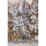 Julian Fałat (1853 Tuligłowy - 1929 Bystra), Zimowy pejzaż z Bystrej, 1917