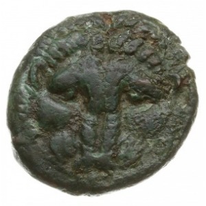 brąz, 350-270 pne; Aw: Głowa lwa na wprost; Rw: Głowa A...
